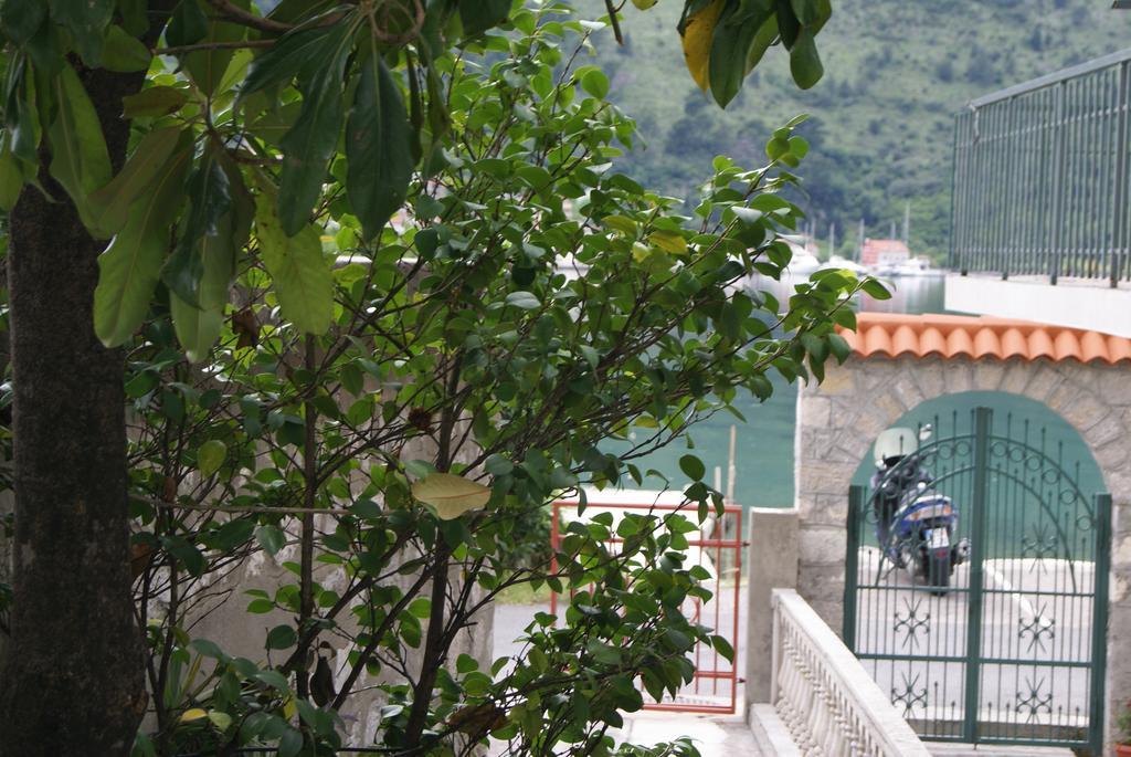 Apartment Kotor-Andrija Jovanovic חדר תמונה